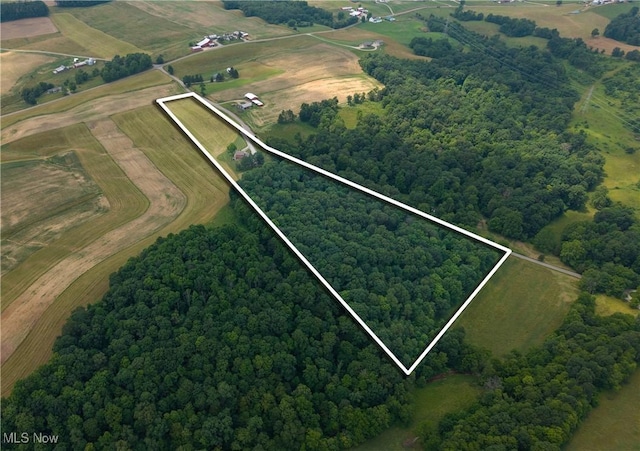 1240 Hayesville Rd, Waterford, OH 45786 - photo 10