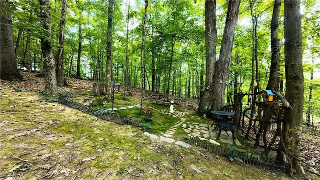 1240 Hayesville Rd, Waterford, OH 45786 - photo 12