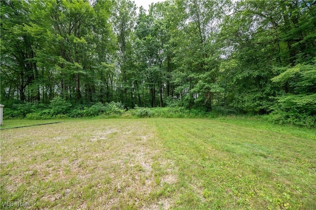 2364 Earl, Niles, OH 44446 - view of grassy yard featuring a wooded view