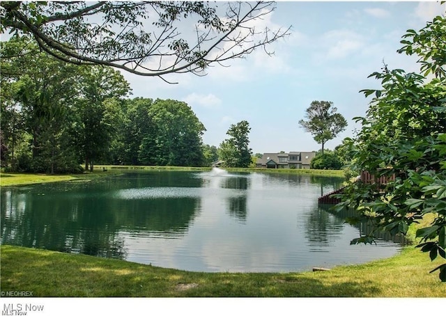 836 Arboretum Cir, Sagamore Hills, OH 44067 - water view