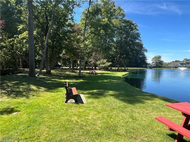 836 Arboretum Cir, Sagamore Hills, OH 44067 - view of home's community featuring a yard and a water view