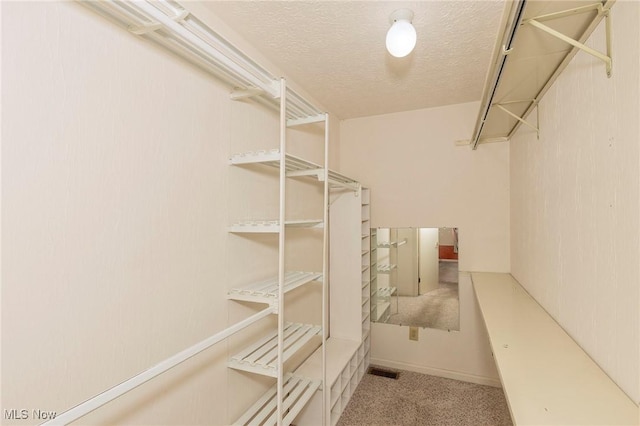 836 Arboretum Cir, Sagamore Hills, OH 44067 - walk in closet featuring carpet flooring