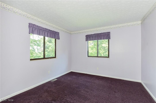 836 Arboretum Cir, Sagamore Hills, OH 44067 - carpeted empty room with plenty of natural light and a textured ceiling