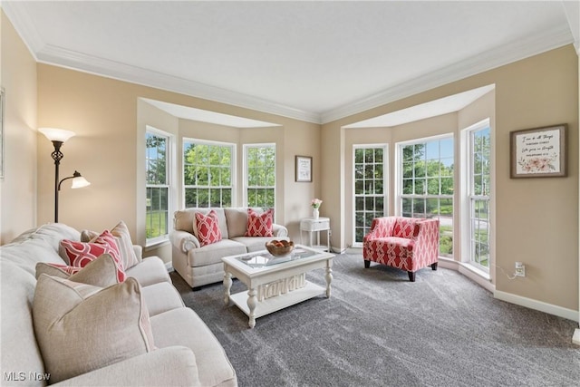 3281 Evans Way, Twinsburg, OH 44087 - living area featuring ornamental molding and carpet floors