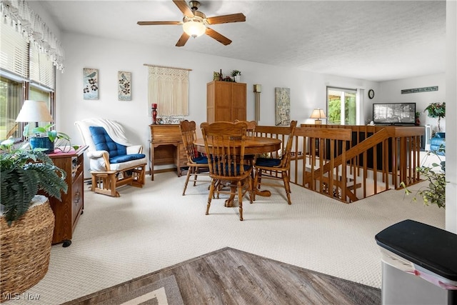 1222 Schneiders Crossing Rd NW # C, Dover, OH 44622 - dining room featuring a ceiling fan and carpet floors