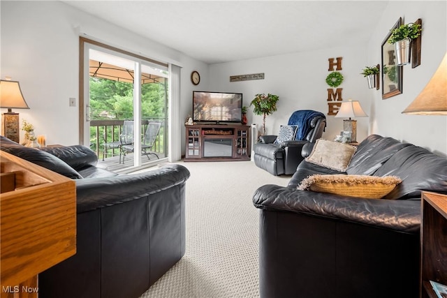 1222 Schneiders Crossing Rd NW # C, Dover, OH 44622 - living area featuring carpet flooring