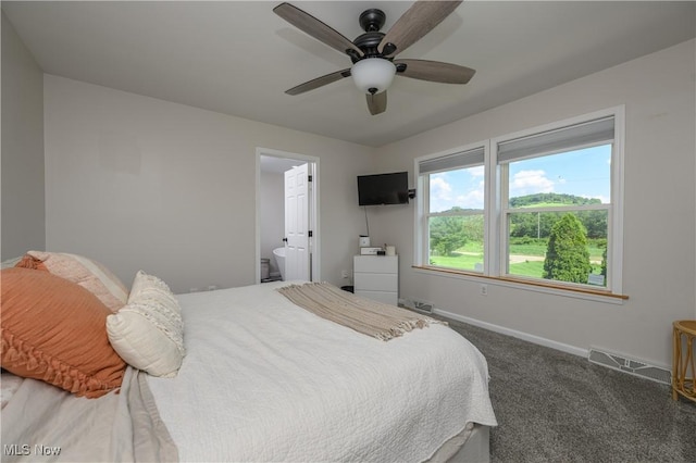 4216 Stone Creek Rd SW, Stone Creek, OH 43840 - carpeted bedroom featuring ensuite bath and a ceiling fan