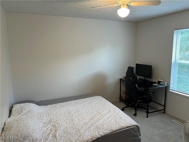 678 Highland Dr, Lodi, OH 44254 - bedroom with multiple windows, carpet floors, a textured ceiling, a ceiling fan, and an office area