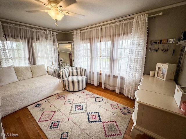 2208 Oak St, Parkersburg, WV 26101 - living room featuring ceiling fan and wood finished floors