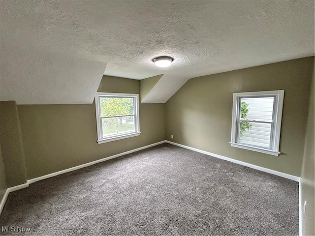 4514 Lilac Rd, South Euclid, OH 44121 - additional living space featuring a textured ceiling, lofted ceiling, healthy amount of natural light, and carpet flooring