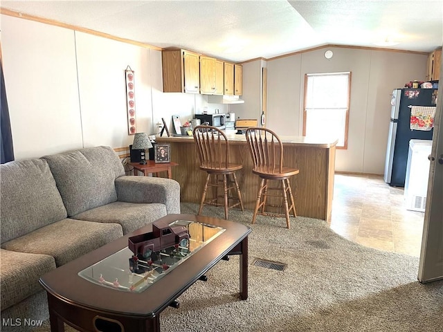310 Jackson St, Minerva, OH 44657 - living area with lofted ceiling and light carpet