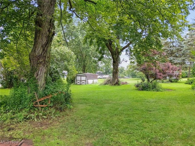 4524 Sherer Ave SW, Canton, OH 44706 - view of green lawn with a storage shed