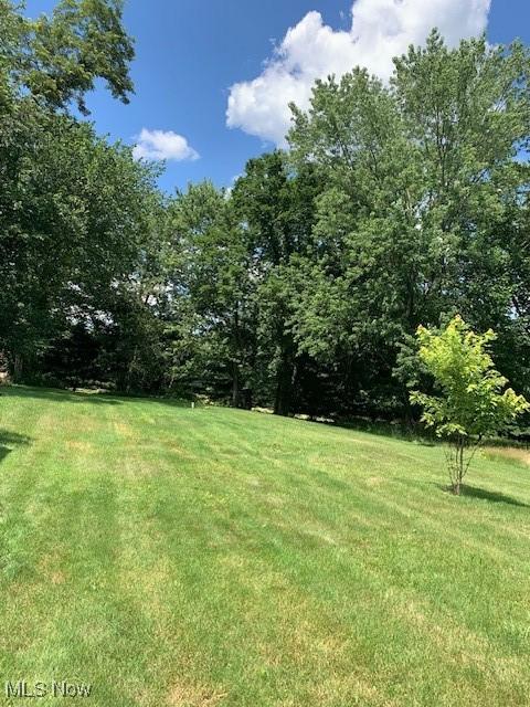 62 Township Road 245, Toronto, OH 43964 - view of green lawn