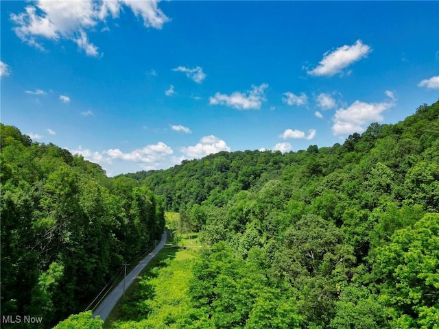 0 Barber Ridge Rd, Woodsfield, OH 43793 - photo 6