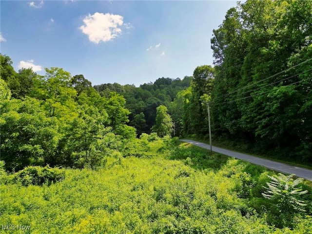 0 Barber Ridge Rd, Woodsfield, OH 43793 - photo 7