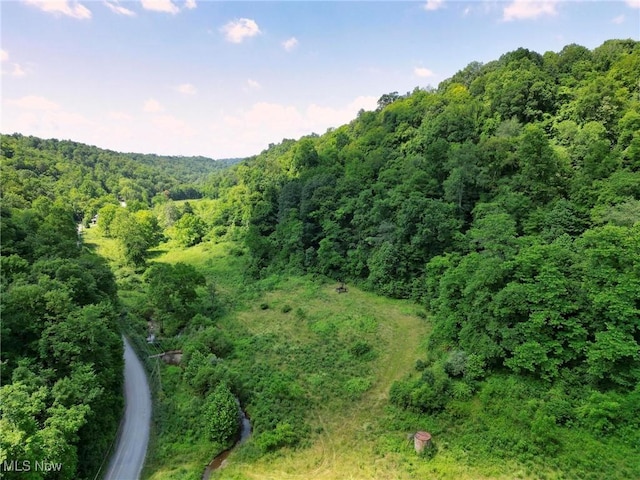 0 Barber Ridge Rd, Woodsfield, OH 43793 - photo 9