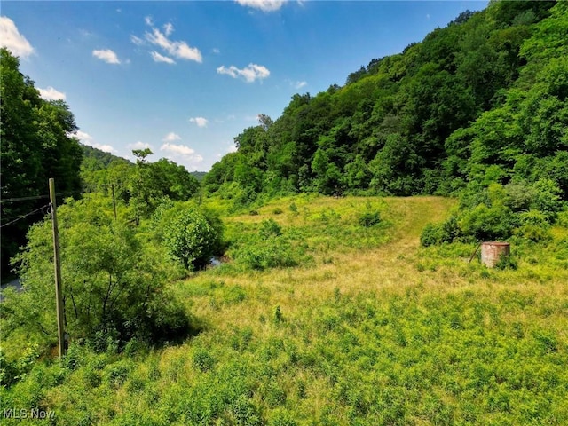 0 Barber Ridge Rd, Woodsfield, OH 43793 - photo 11