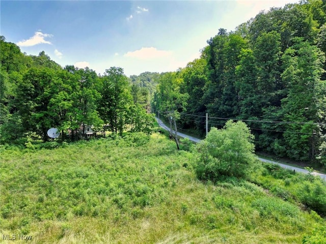 0 Barber Ridge Rd, Woodsfield, OH 43793 - photo 12