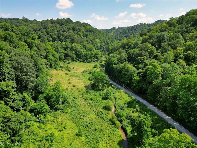 0 Barber Ridge Rd, Woodsfield, OH 43793 - photo 13