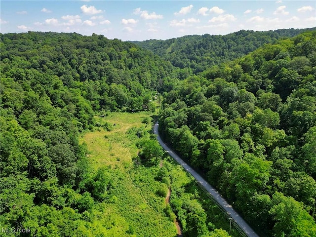 0 Barber Ridge Rd, Woodsfield, OH 43793 - photo 14