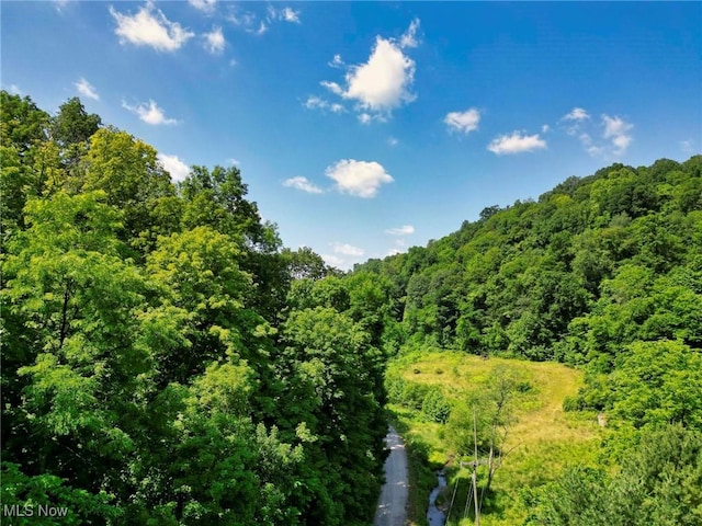 0 Barber Ridge Rd, Woodsfield, OH 43793 - photo 22
