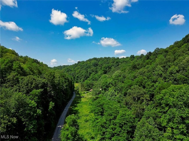 0 Barber Ridge Rd, Woodsfield, OH 43793 - photo 29