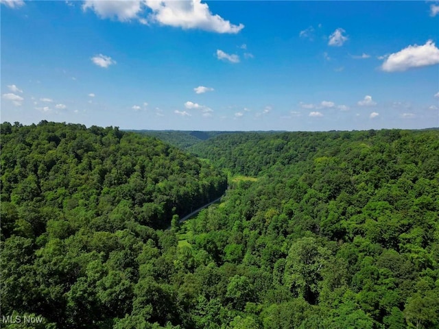0 Barber Ridge Rd, Woodsfield, OH 43793 - photo 30