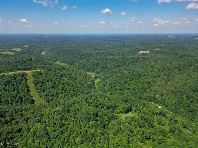0 Barber Ridge Rd, Woodsfield, OH 43793 - photo 36