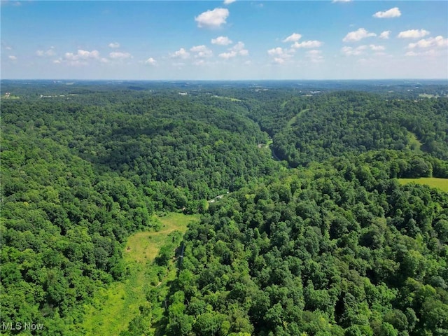 0 Barber Ridge Rd, Woodsfield, OH 43793 - photo 16
