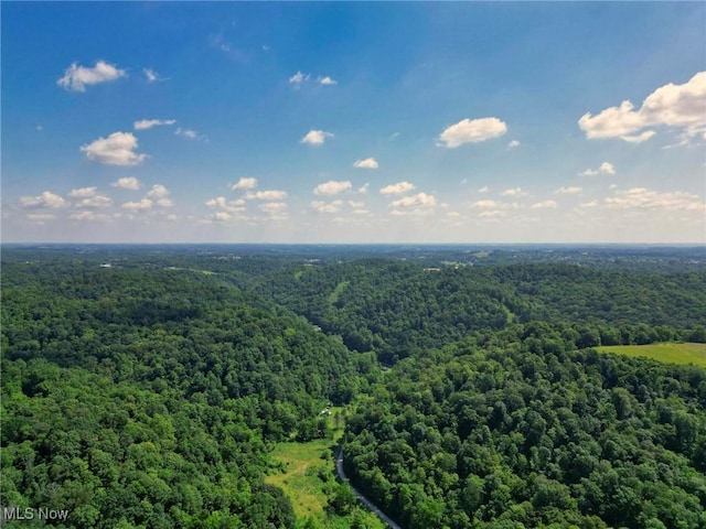 0 Barber Ridge Rd, Woodsfield, OH 43793 - photo 17