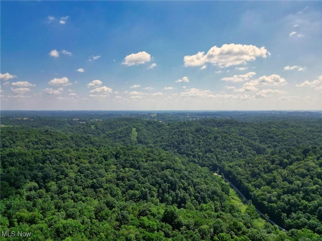 0 Barber Ridge Rd, Woodsfield, OH 43793 - photo 18