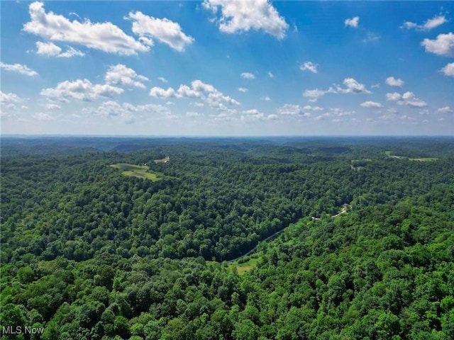 0 Barber Ridge Rd, Woodsfield, OH 43793 - photo 20