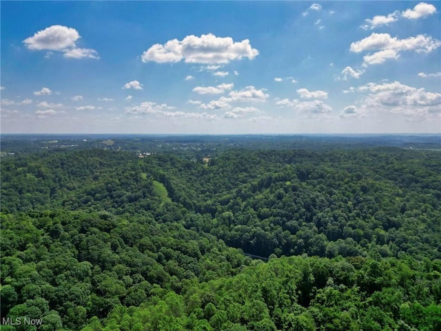 0 Barber Ridge Rd, Woodsfield, OH 43793 - photo 21