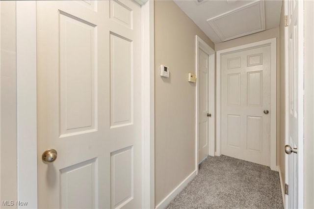 2615 Daffodil St NE, Canton, OH 44705 - hall with carpet floors and attic access