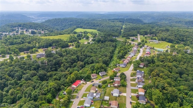 191 Ridgeland Dr, Toronto, OH 43964 - drone / aerial view of a heavily wooded area
