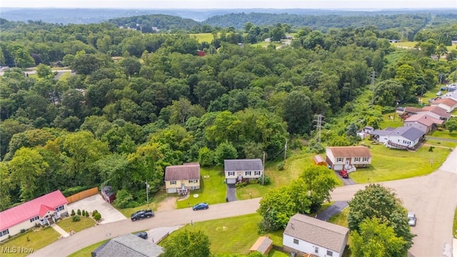191 Ridgeland Dr, Toronto, OH 43964 - aerial view of residential area featuring a forest