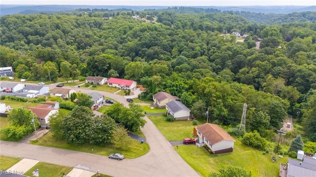 191 Ridgeland Dr, Toronto, OH 43964 - bird's eye view of a forest