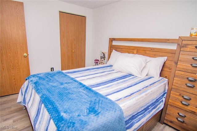 191 Ridgeland Dr, Toronto, OH 43964 - bedroom with wood finished floors and a closet