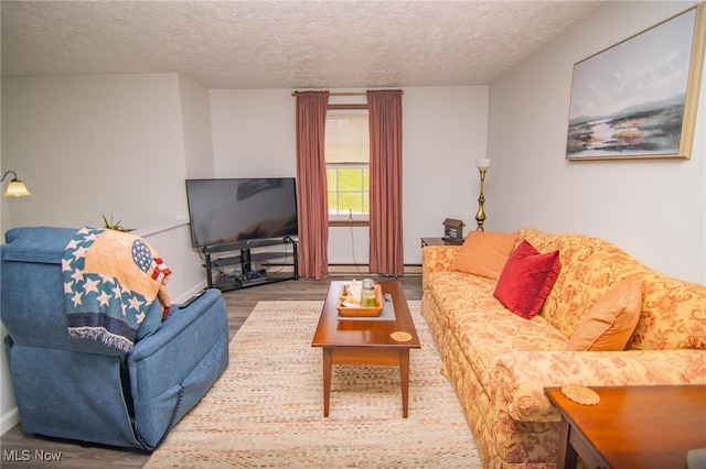191 Ridgeland Dr, Toronto, OH 43964 - living area featuring a textured ceiling, wood finished floors, and a baseboard radiator