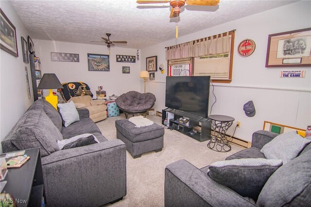 191 Ridgeland Dr, Toronto, OH 43964 - photo 28