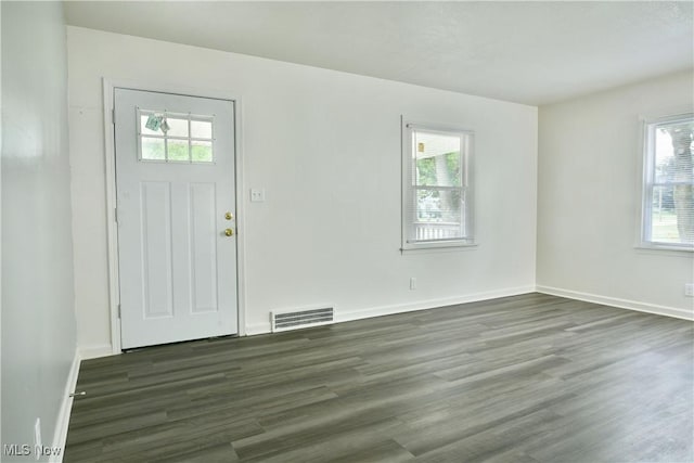 1006 Trumbull Ave, Warren, OH 44420 - foyer with plenty of natural light and wood finished floors