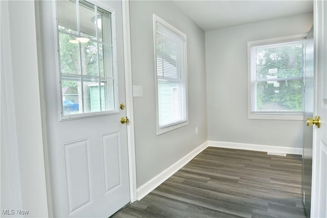 1006 Trumbull Ave, Warren, OH 44420 - doorway with healthy amount of natural light and dark wood-style floors
