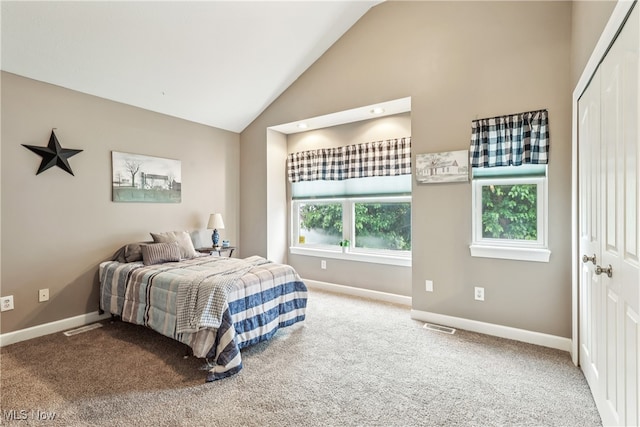 2395 Tremont Ave, Cleveland, OH 44113 - bedroom with a closet, carpet, and high vaulted ceiling