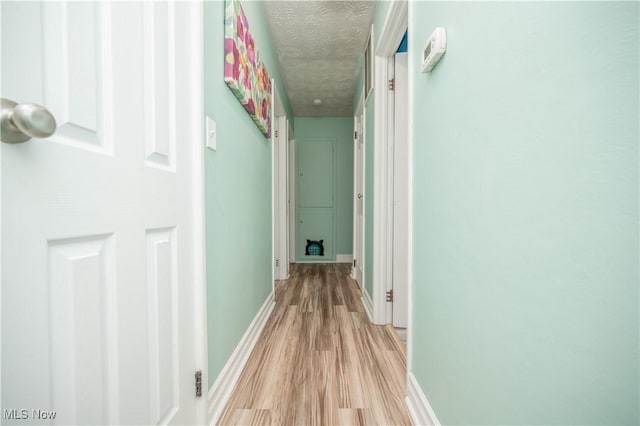 1291 Woodhurst Dr, Austintown, OH 44515 - hallway with a textured ceiling and light wood-style floors