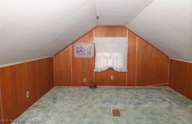 51 N Navarre Ave, Youngstown, OH 44515 - bonus room featuring wood walls, vaulted ceiling, and carpet flooring
