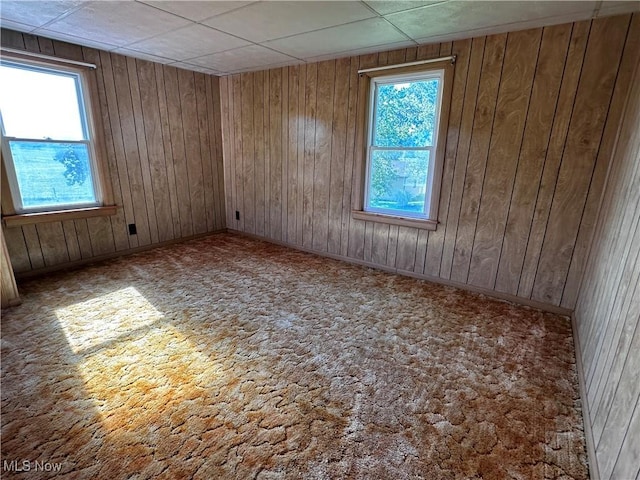 468 Carl St, Cumberland, OH 43732 - carpeted spare room with wood walls