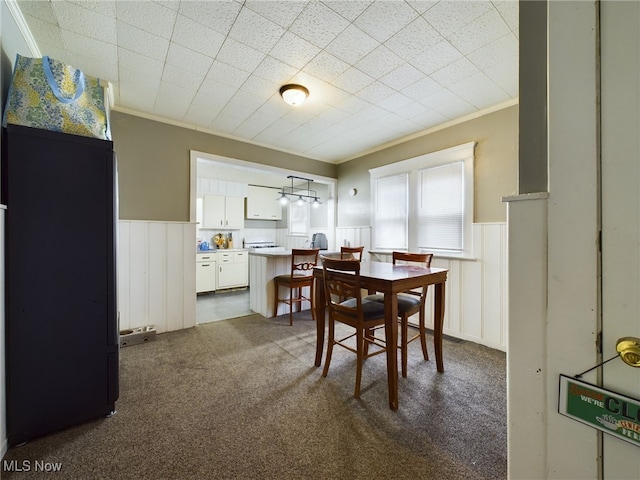 237 E Thornton St, Akron, OH 44311 - dining area featuring ornamental molding, wainscoting, and dark carpet