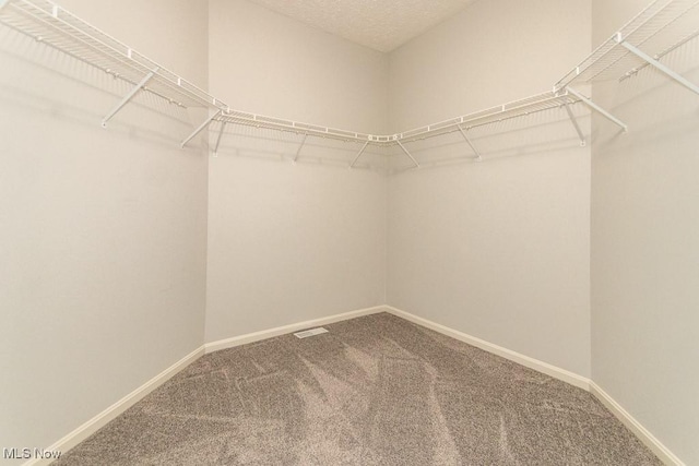 415 Cascade Ct, Avon Lake, OH 44012 - walk in closet featuring carpet floors