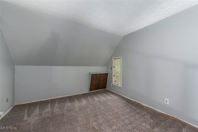 1915 Claus Rd, Vermilion, OH 44089 - additional living space featuring vaulted ceiling, carpet, and a textured ceiling