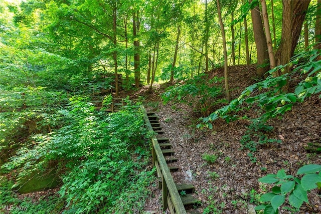 1915 Claus Rd, Vermilion, OH 44089 - view of wooded area